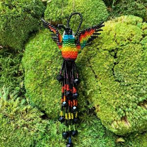 Kolibřík korálkový - Preto Arco Iris