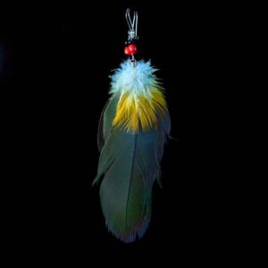 Peříčková naušnice Guacamayo Floresta